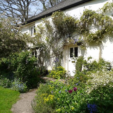 Tracebridge Cottage B&B Stawley Exteriör bild