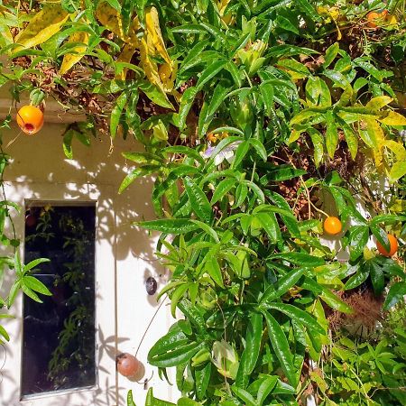 Tracebridge Cottage B&B Stawley Exteriör bild