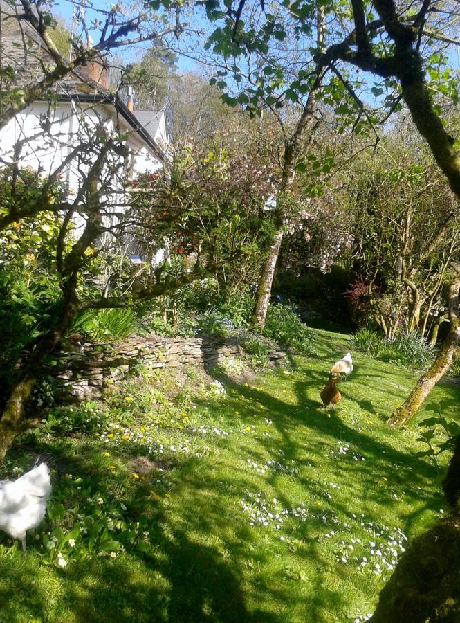 Tracebridge Cottage B&B Stawley Exteriör bild