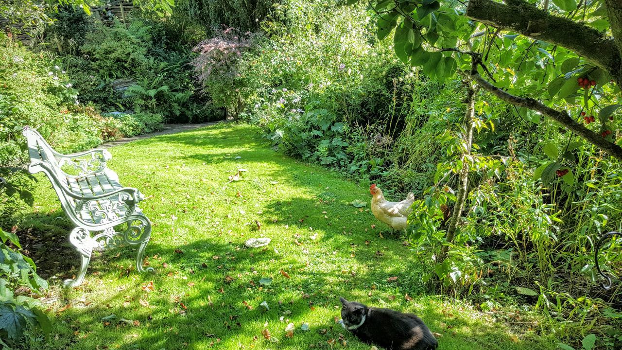 Tracebridge Cottage B&B Stawley Exteriör bild