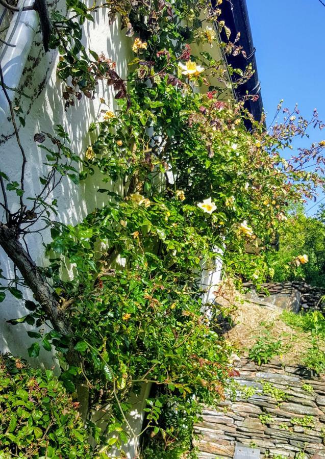 Tracebridge Cottage B&B Stawley Exteriör bild