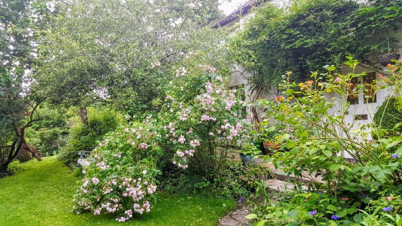 Tracebridge Cottage B&B Stawley Exteriör bild